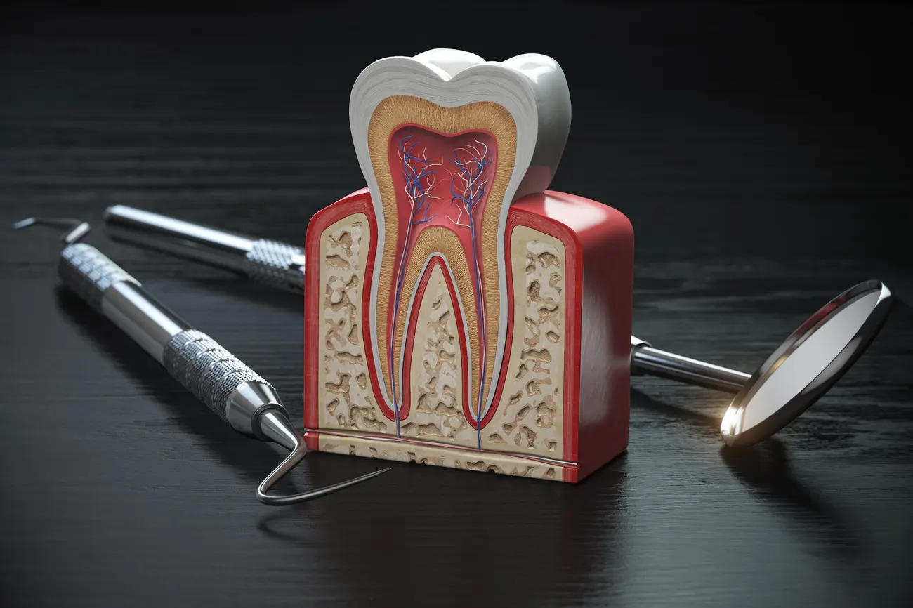 What's Inside Your Teeth?